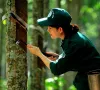 Nắm bắt thời cơ, đẩy mạnh xuất khẩu cao su