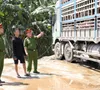 Kịp thời ngăn chặn 18 tấn lợn nhiễm dịch tả châu Phi đi tiêu thụ