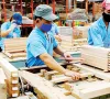 Hoa Kỳ điều tra gỗ dán Việt Nam, hơn 130 doanh nghiệp đối mặt nguy cơ áp thuế