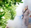 Phản ánh điểm nguy cơ sốt xuất huyết qua ứng dụng của ngành Y tế