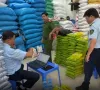 Sức mua gạo ST25 giảm trước thông tin bị làm giả