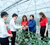 Cơ hội và thách thức của tín dụng xanh