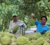 Nông sản ASEAN “đắt hàng” tại Trung Quốc