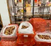Vải thiều Việt Nam xuất sang thị trường Hoa Kỳ