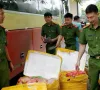 Phát hiện xe khách chở 476kg nội tạng không rõ nguồn gốc