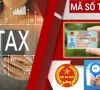 Từ 1/7, chính thức sử dụng số định danh cá nhân thay cho mã số thuế