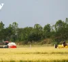 Cơ hội lớn để định hình lại ngành hàng lúa gạo Việt Nam