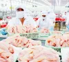 7 doanh nghiệp cá tra Việt được miễn thuế chống bán phá giá tại Mỹ