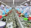 80% doanh nghiệp Việt Nam đã chủ động ứng phó với tác động từ thuế quan của Hoa Kỳ
