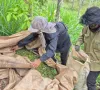 Trung Quốc dẫn đầu nhập khẩu hồ tiêu Việt Nam