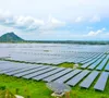 Kiến nghị khung giá trần đấu thầu riêng cho từng loại điện mặt trời