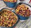 Măng cụt mất mùa, giá cao nhưng nông dân vẫn "thiệt kép"