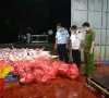 Khởi tố 3 đường dây buôn bán lợn bệnh, lợn chết