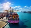 Nhanh chóng khai thác các thị trường xuất khẩu mới