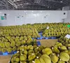 Đặt mục tiêu có 5.000 doanh nghiệp nông nghiệp vào năm 2030