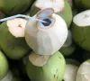 Dừa tươi Việt Nam: Từ đặc sản địa phương đến ngành hàng tỷ USD
