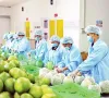 Cơ hội cho trái cây Việt Nam tại thị trường Mỹ