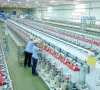 Xây dựng khung tiêu chí xuất xứ hàng hóa: Bước đi chiến lược bảo vệ thương hiệu Việt