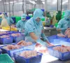 Xuất khẩu nông, lâm, thủy sản 8 tháng năm 2025 tăng 12%
