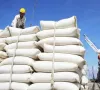 Thị trường gạo châu Á thấp nhất trong nhiều năm