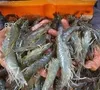 Indonesia nối lại xuất khẩu tôm sang Mỹ