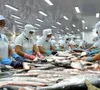 ASEAN - Thị trường tiềm năng cho xuất khẩu cá tra