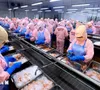 Xuất khẩu nông, lâm, thủy sản 5 tháng tăng trên 9%