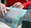 Dùng AI và dữ liệu lớn truy quét doanh nghiệp "ma"