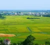 Cơ chế đặc thù xử lý vi phạm pháp luật về đất đai trước năm 2024