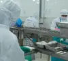 Xuất khẩu nông, lâm, thủy sản đạt gần 36 tỷ USD