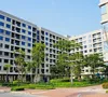 Phát triển nhà ở cho thuê sẽ giúp hạ nhiệt giá nhà