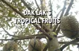 Dak Lak's Tropical fruits - Fine Cuisine