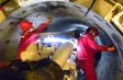 Russia, China ink deal on new gas pipeline