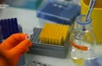 France trials head and neck cancer vaccine