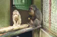 Sapa's Haven for Wildlife