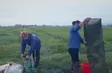 Traditional Field Eel Catching in Nghe An