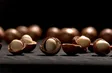 The “Golden Nut” of Vietnam - Local Towards Global