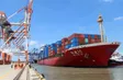 Vietnamese exporters confront trade barriers
