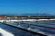 Carbon credit market: A new chapter toward Net Zero | Bizline