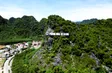 China Link - 24.09.2025