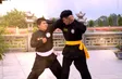 The garden martial art - The martial land
