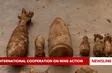 International cooperation on mine action