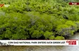 Con Dao National Park enters IUCN green list