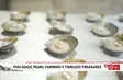 Phu Quoc pearl farming's timeless treasures