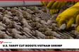 U.S. tariff cut boosts Việt Nam shrimp