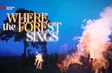 Where the forest sings | Discovery