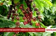 Đắk Lắk coffee industry embraces global standards