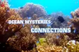 Ocean Mysteries: Connections | Insights
