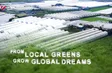 From local greens grow global dreams - Local Towards Global