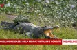 Wildlife releases help revive Việt Nam's forests